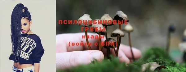 соль курить ск Алексин