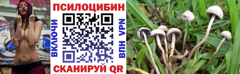магазин    ОМГ ОМГ как войти  Галлюциногенные грибы мицелий  Уяр 